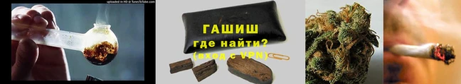 гидра Пересвет