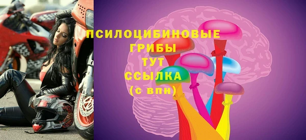 тгк Абдулино